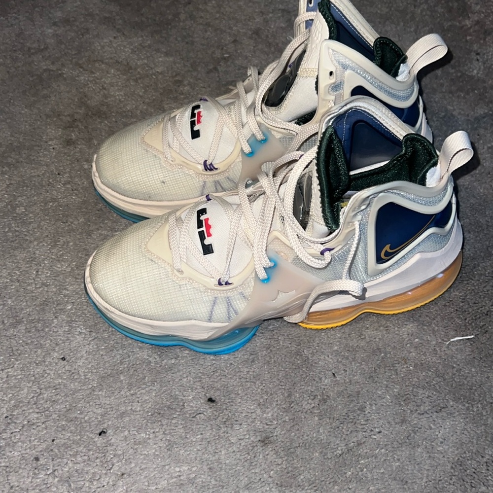 LeBron James 19